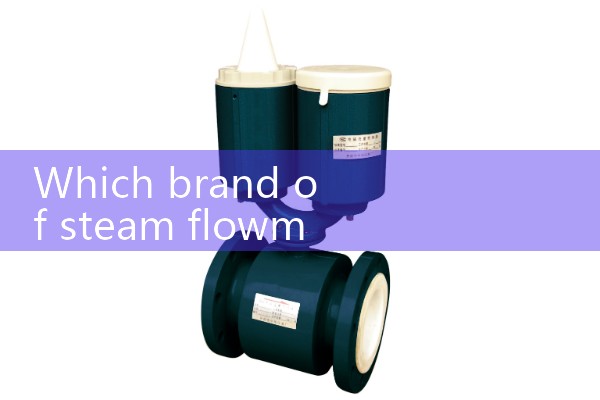 float flow meter